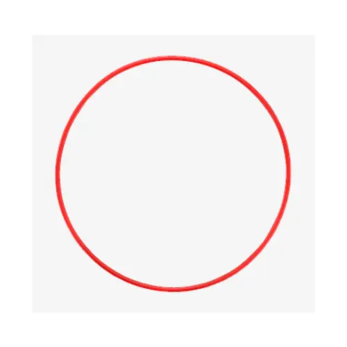 Olympus POL-053 O-Ring für PT-056 Unterwassergehäuse