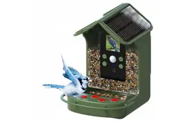 Braun Bird Cam 130 Solar, Wildkamera