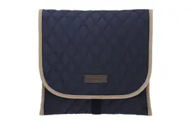 Olympus CS-43 Tasche