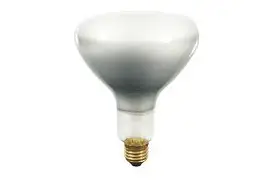 Diverse Nitraphot BR 500 Watt, Fotolampe