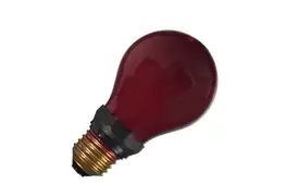 Diverse Dunkelkammerlampe rot 15 Watt